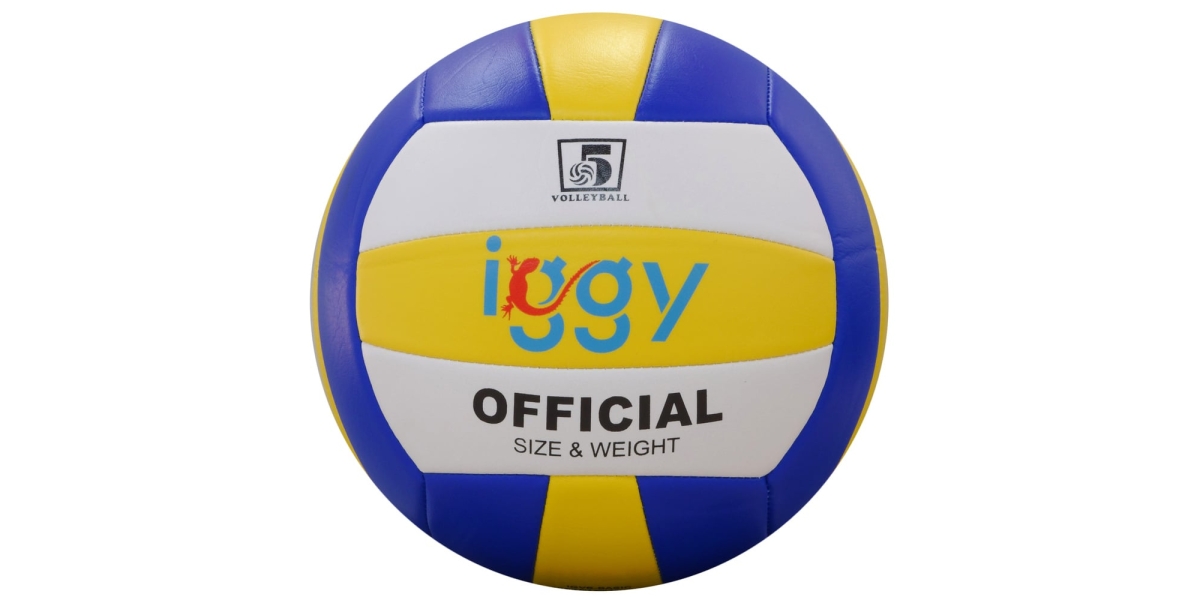 Minge de volei IGGY IGVB-BASIC dimensiune 5, greutate 240 grame 