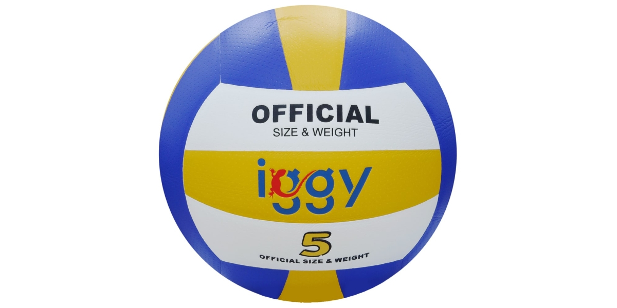 Minge volei IGGY, PU laminat, dimensiune 5, 240 grame (IGVB-PRO) 