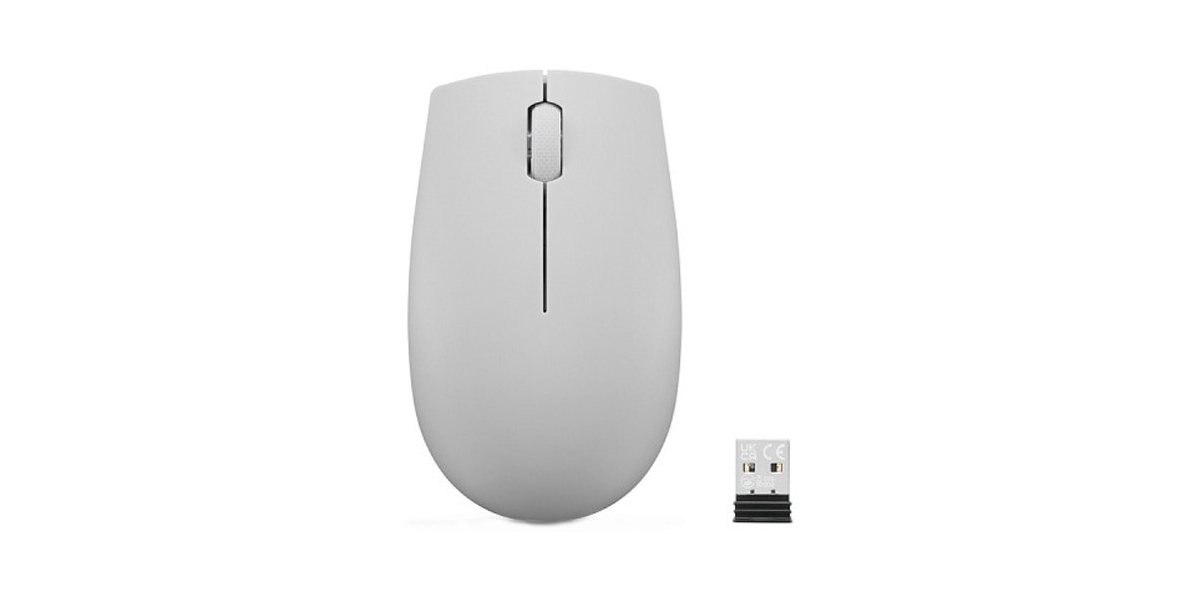 Mouse Optic Lenovo 300 USB, Arctic Grey GY51L15678 