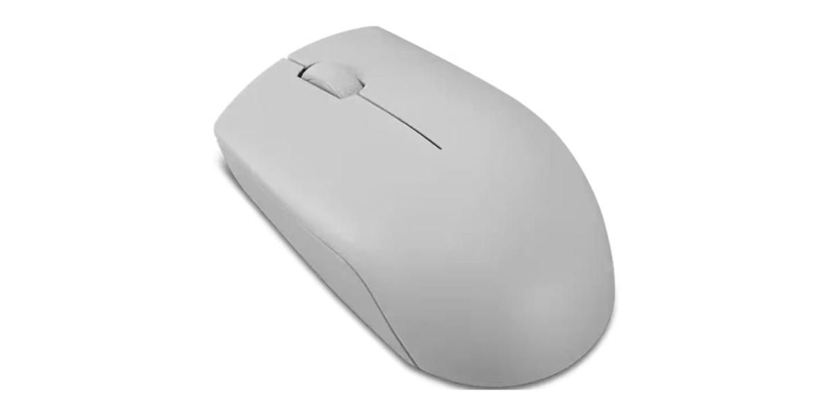 Mouse Optic Lenovo 300 USB, Arctic Grey GY51L15678 768367