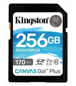 Card de memorie sd kingston canvas go plus, 256gb, class 10 320636