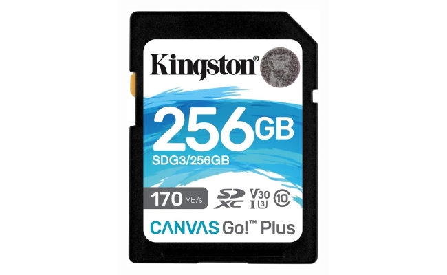 Card de Memorie SD Kingston Canvas GO Plus, 256GB, Class 10