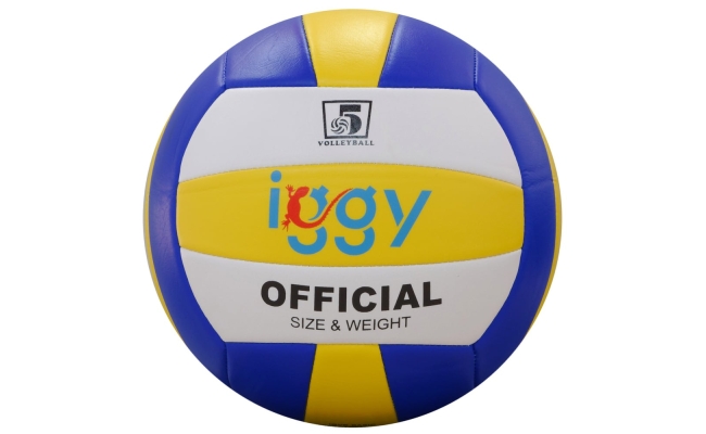 Minge de volei IGGY IGVB-BASIC dimensiune 5, greutate 240 grame