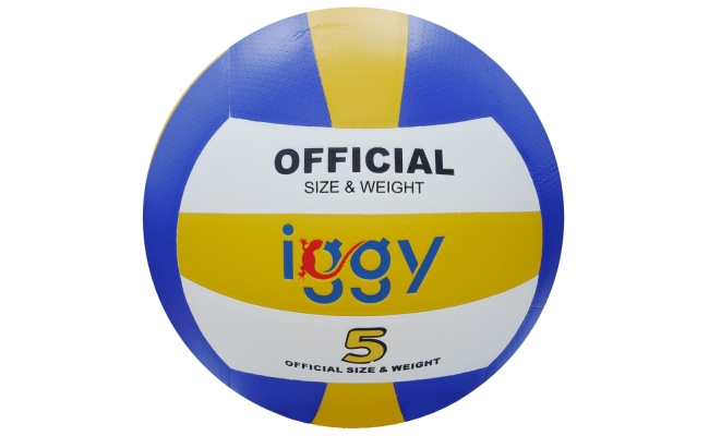 Minge volei IGGY, PU laminat, dimensiune 5, 240 grame (IGVB-PRO)