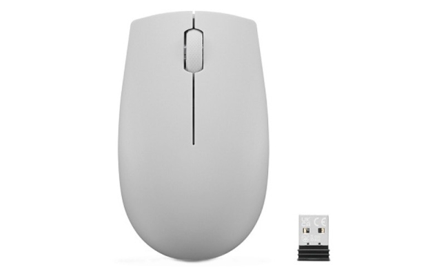 Mouse Optic Lenovo 300 USB, Arctic Grey GY51L15678