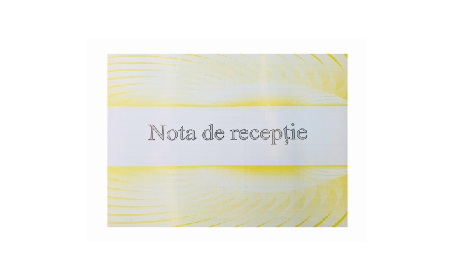 Nota de receptie A4 (model vechi), 100 file