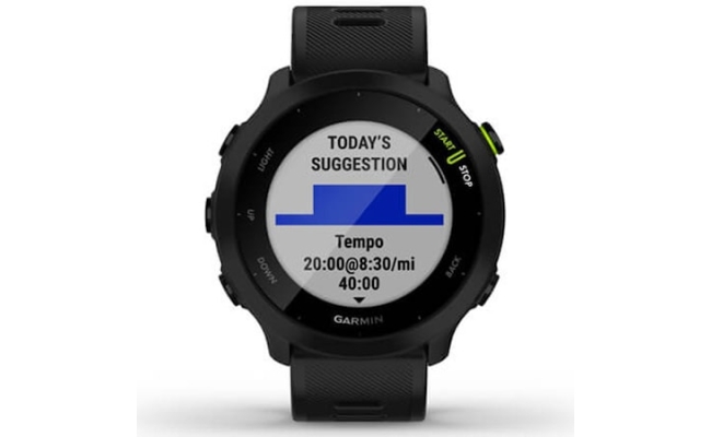 Ceas Smartwatch Garmin Forerunner 55, GPS, Black 19812