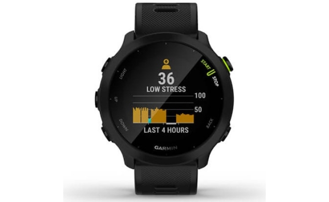 Ceas Smartwatch Garmin Forerunner 55, GPS, Black 19813