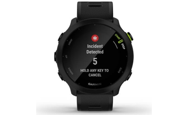 Ceas Smartwatch Garmin Forerunner 55, GPS, Black 19814