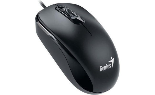 Mouse Genius DX-110 Negru 20977