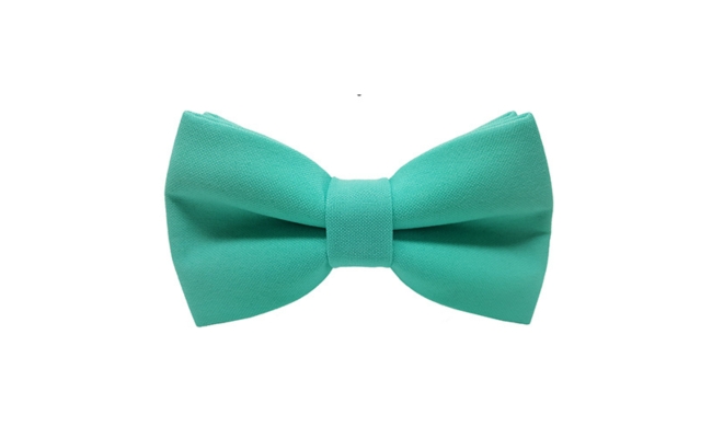 Papion Mint Green