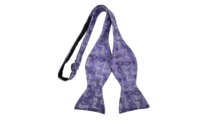 Papion Self Tie Mauve Paisley