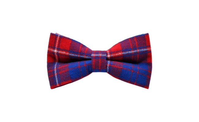 Papion Blue&Red Plaid