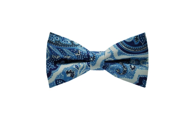 Papion Blue Floral Paisley