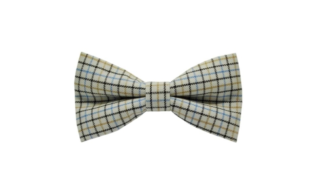 Papion Cream&Blue-Black Plaid