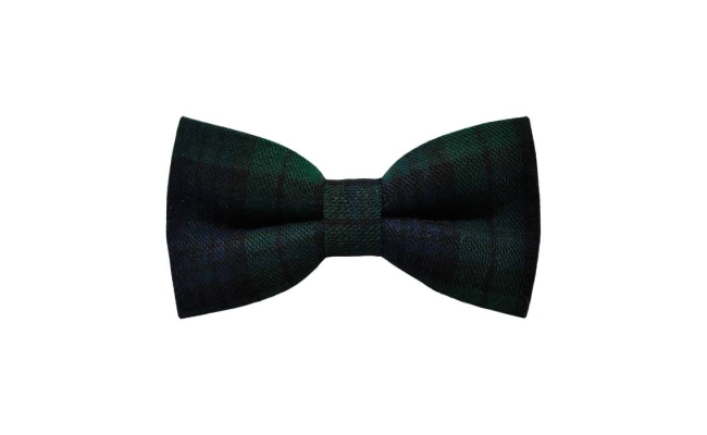 Papion Dark Blue&DarkGreen Plaid