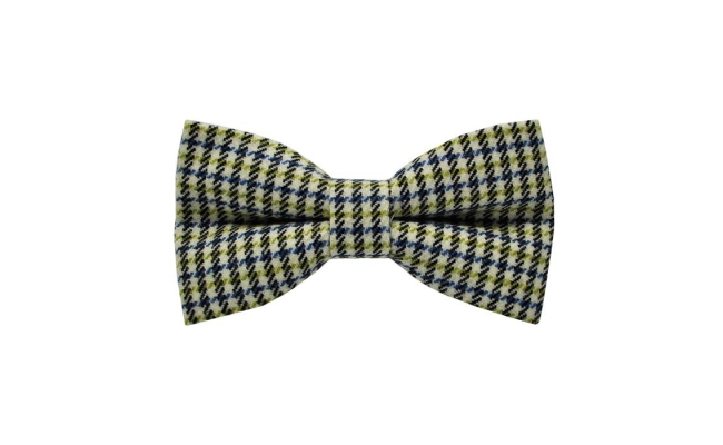 Papion Dark Blue&Yellow Plaid