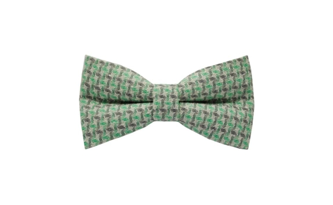 Papion Houndstooth Spring Green