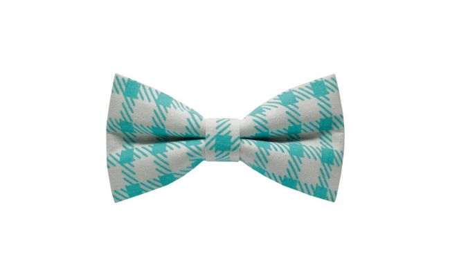 Papion Houndstooth Turquoise