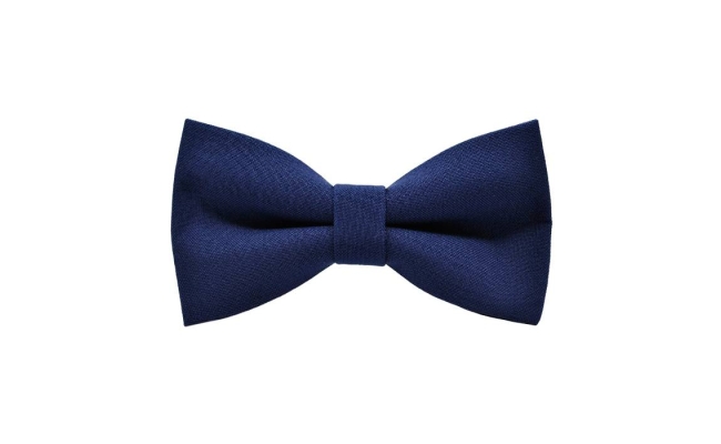 Papion Navy Blue