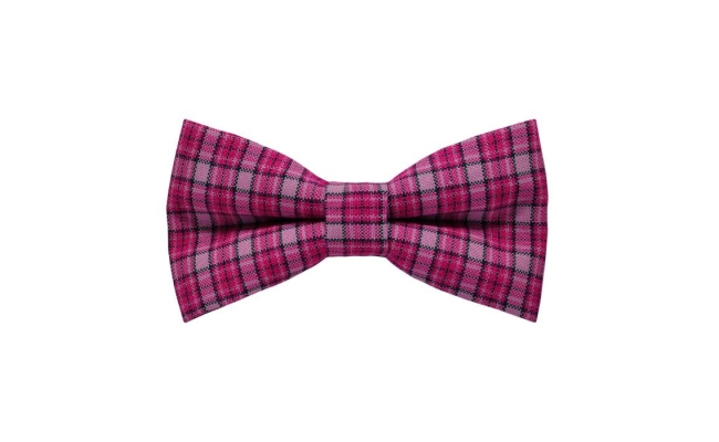 Papion Pink Plaid