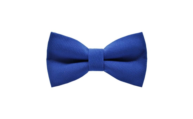 Papion Royal Blue