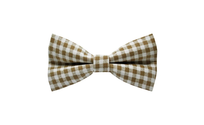 Papion White&Light Brown Plaid