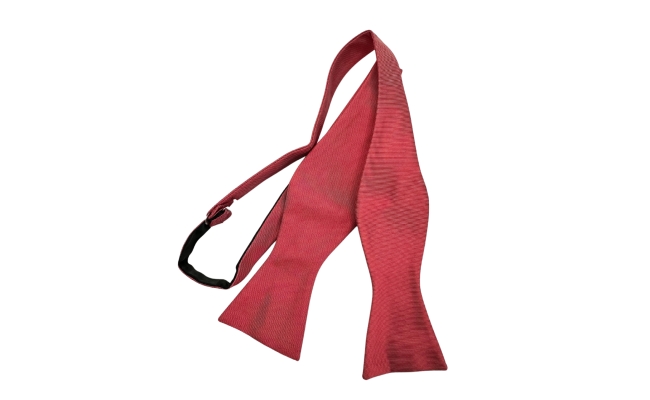 Papion Self Tie Coral