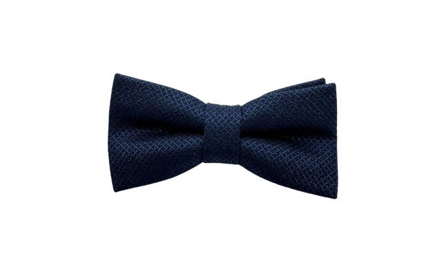 Papion Ceremonie Navy Design