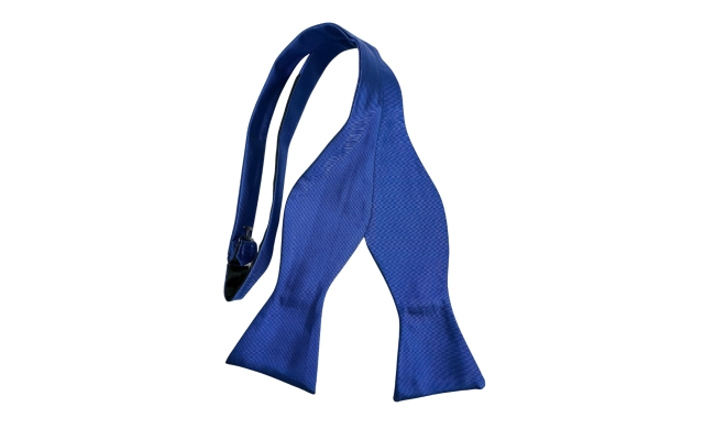 Papion Self Tie Royal Blue