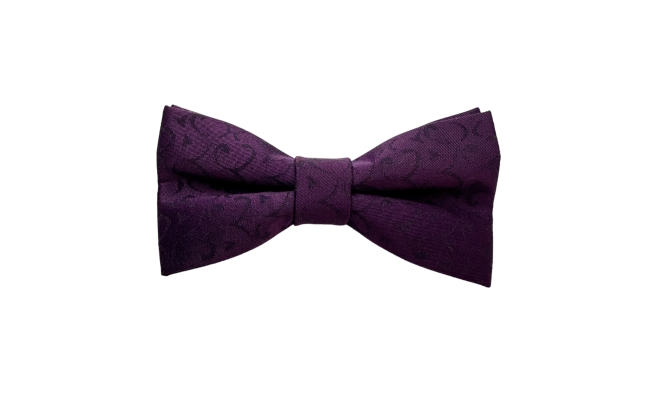 Papion Trabucco Soft Purple