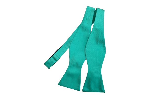 Papion Self Tie Mint