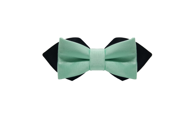 Papion Diamond Black & Mint Green