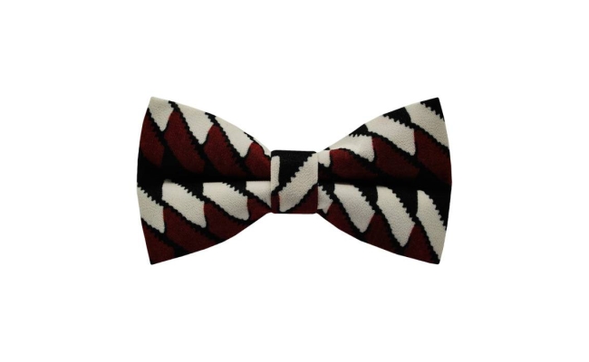 Papion Abstract Burgundy&White