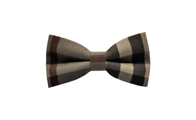 Papion Brown&Cream Plaid I