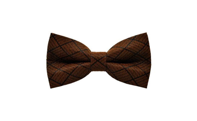 Papion Brown Diamond Plaid