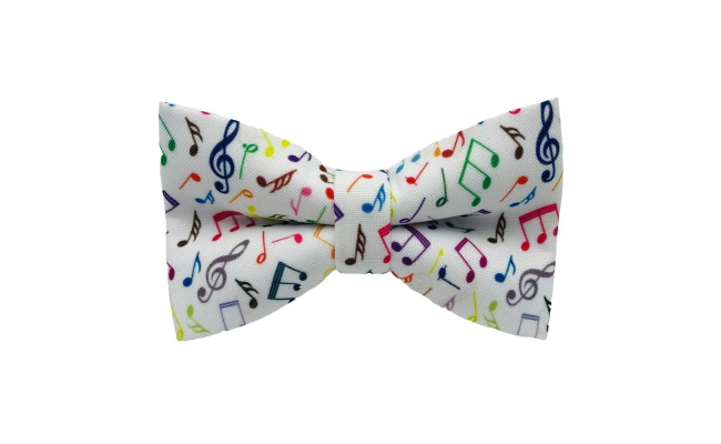 Papion Colorful Musical Notes