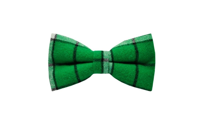 Papion Fresh Green&Black Plaid