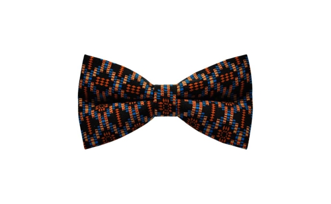 Papion Geometric Blue&Orange