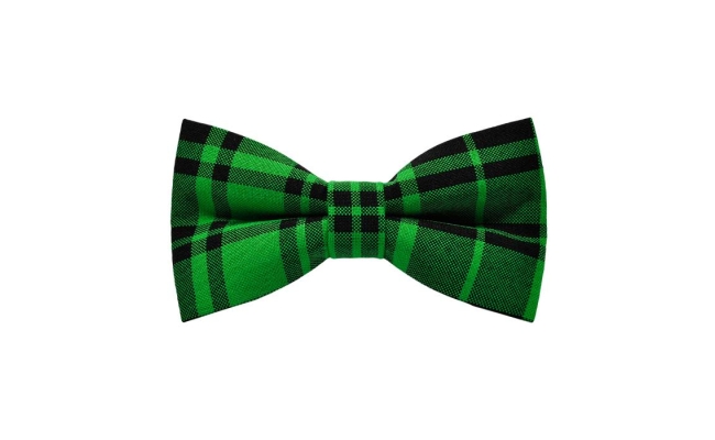 Papion Green&Black Plaid