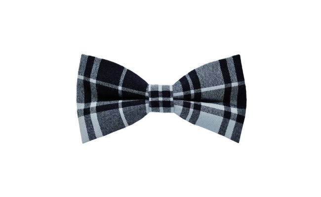 Papion Icy White& Black Plaid