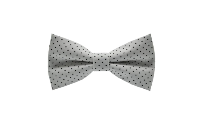 Papion Little Black Dots&White I