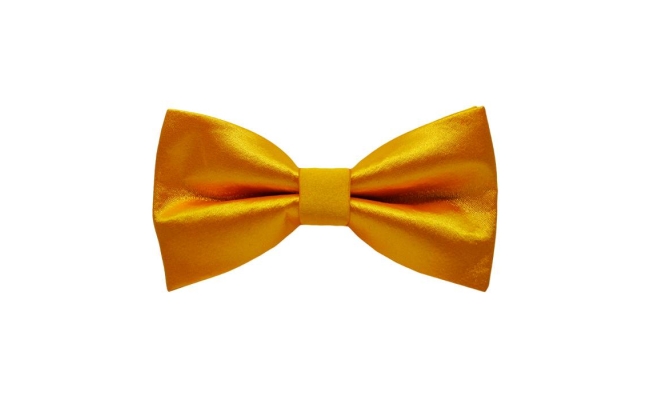 Papion S Orange-Yellow