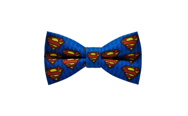 Papion Superman I