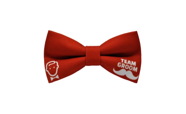 Papion Team Groom I