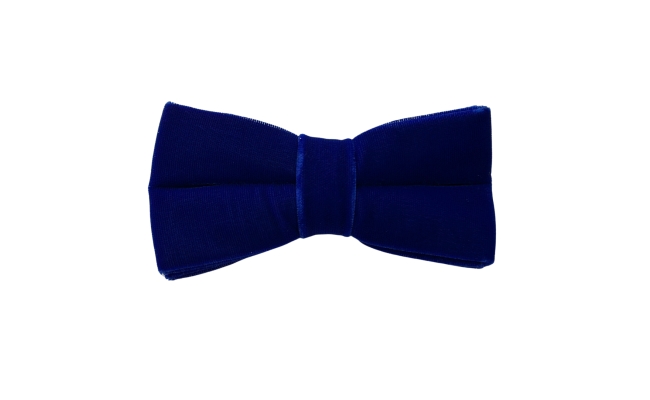 Papion Catifea Royal Blue