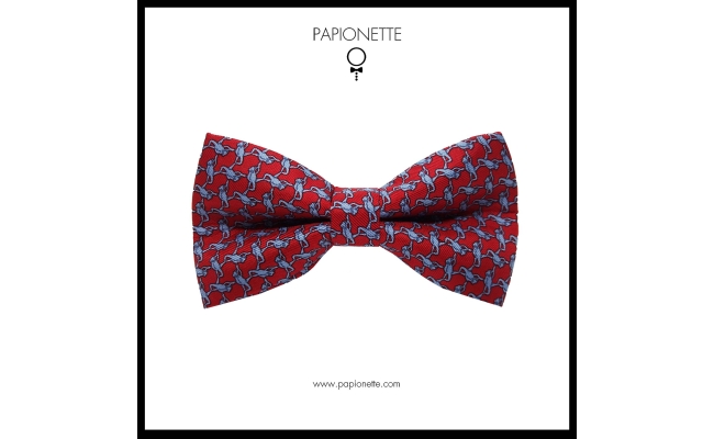 Papion Trabucco Red Fine Blue