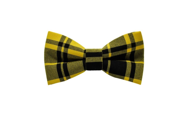 Papion Yellow&Black Plaid